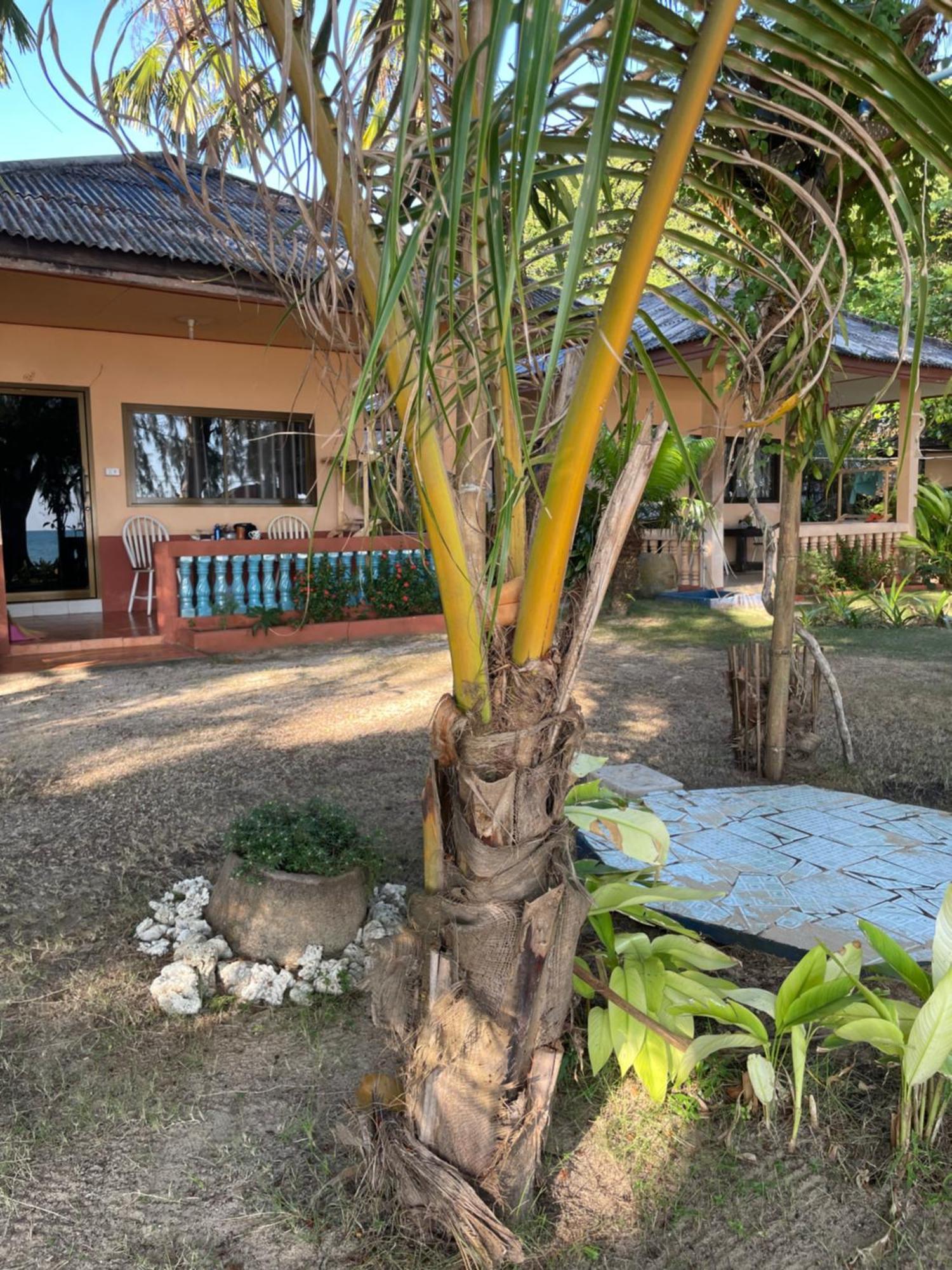 Baanyaiguesthouse Koh Mak Exteriör bild